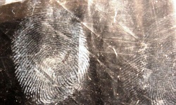 Fingerprinting London UK Europe Police Clearance Certificate NFA FBI-258